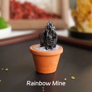 1pc Natural Crystal Stones Mini Clay Pot Base Amethyst Quartz Healing Gemstones Potted Plant Style Crafts Feng Shui Home Decor