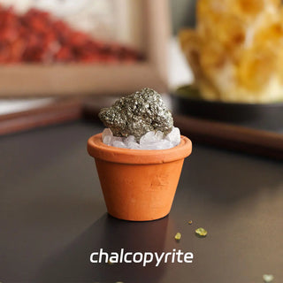 1pc Natural Crystal Stones Mini Clay Pot Base Amethyst Quartz Healing Gemstones Potted Plant Style Crafts Feng Shui Home Decor