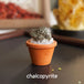 chalcopyrite