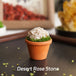 Desert Rose Stone