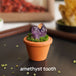 amethyst tooth
