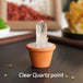 Clear Quartz point